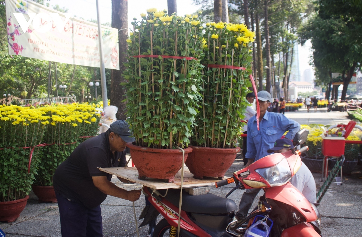 ornamental flowers for tet flock to ho chi minh city picture 6