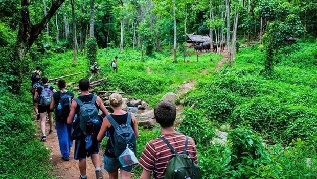 vietnam advised to promote development of forest-based ecotourism picture 1