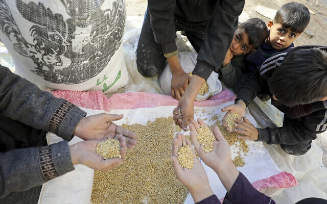 unicef canh bao tinh trang tre em tai gaza bi suy dinh duong nghiem trong hinh anh 1