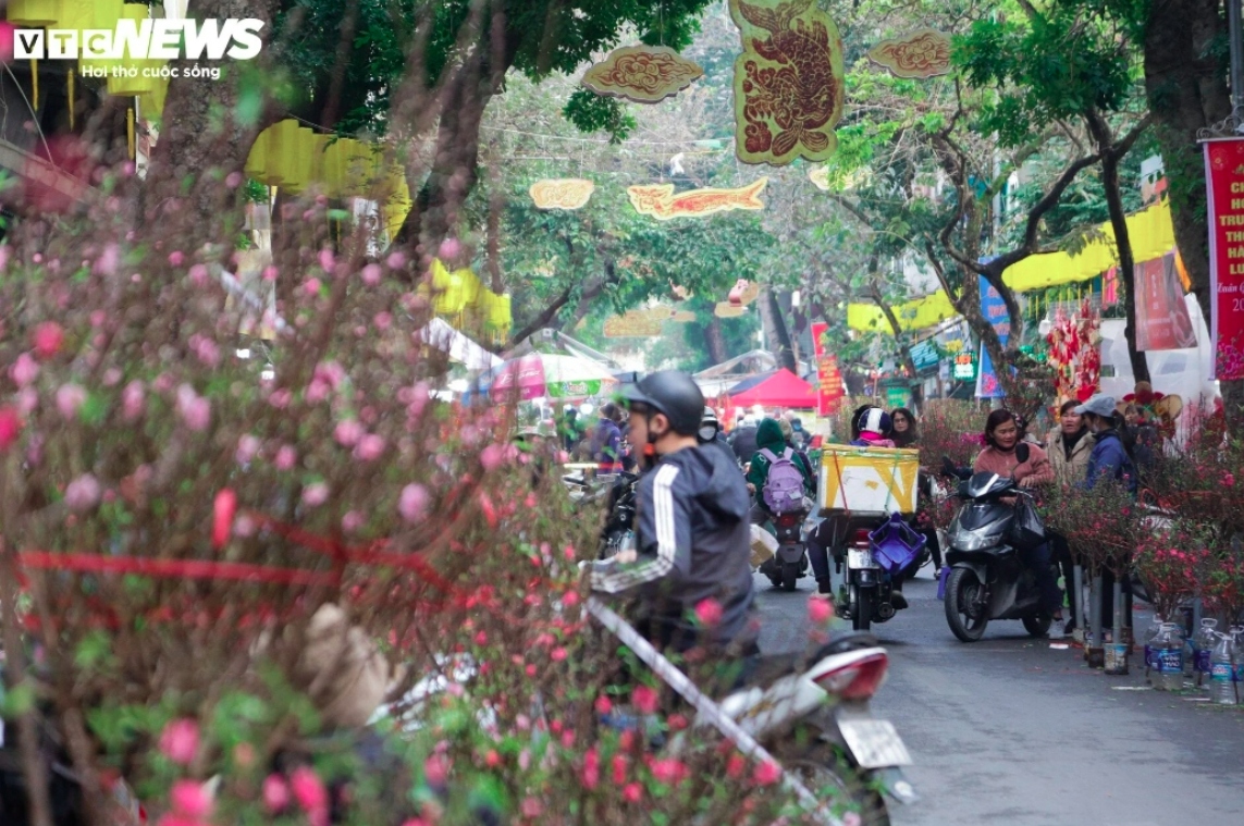 hang luoc traditional flower market bustling as tet draws near picture 3