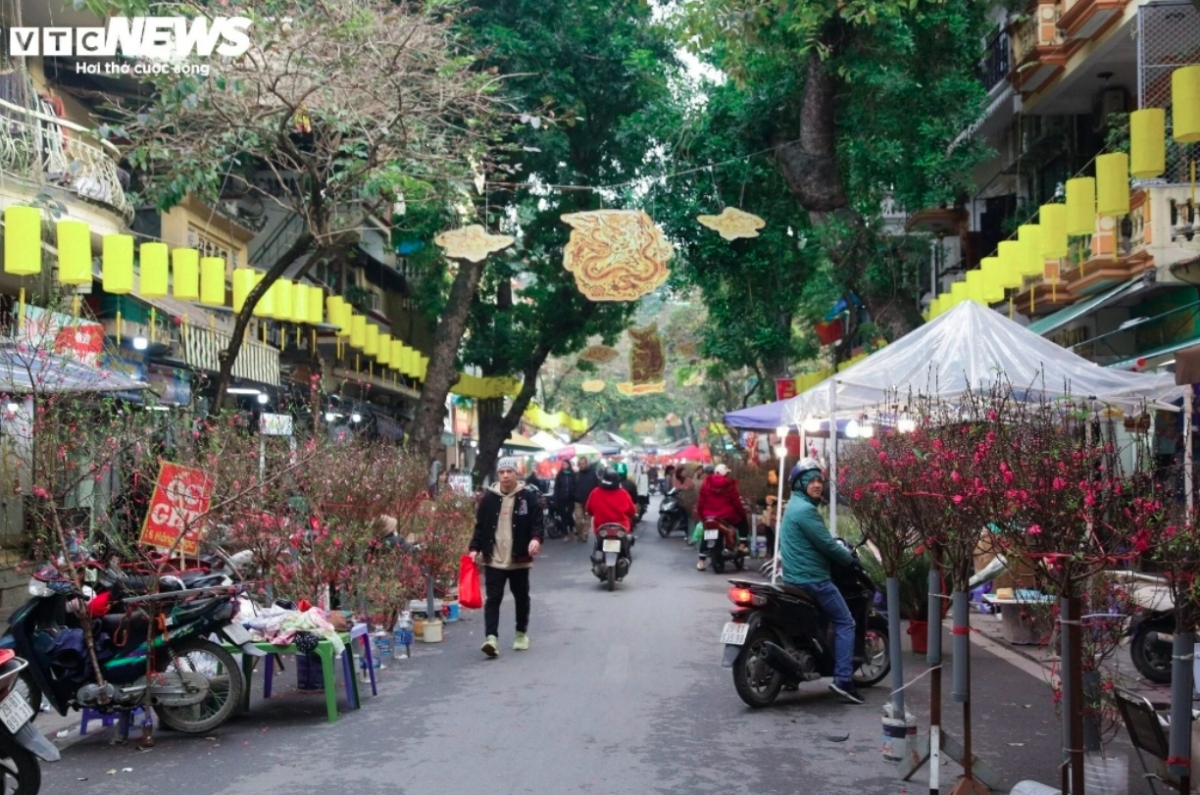 hang luoc traditional flower market bustling as tet draws near picture 9