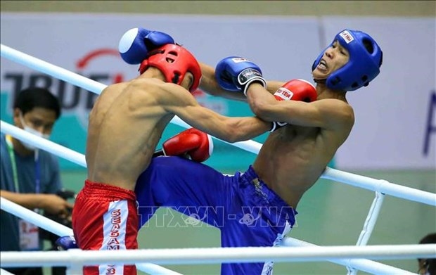binh dinh to host asian kickboxing championships 2024 picture 1