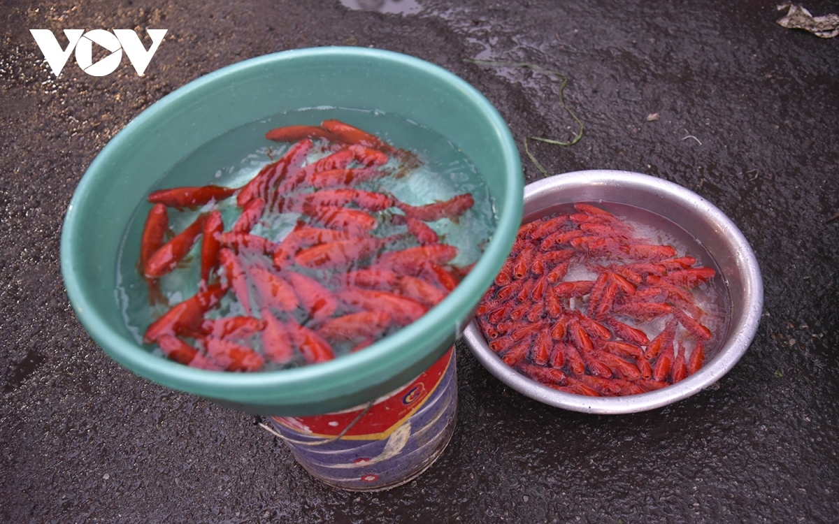 hang be market busily serves locals on kitchen gods day picture 14