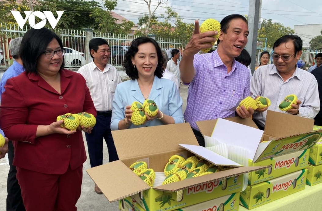 An Giang exports first batch of flat-seed mangoes to RoK