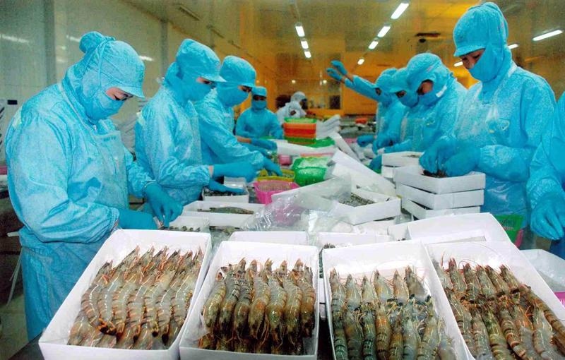 vasep proposes abolishing quotas on vietnamese shrimp exports to rok picture 1