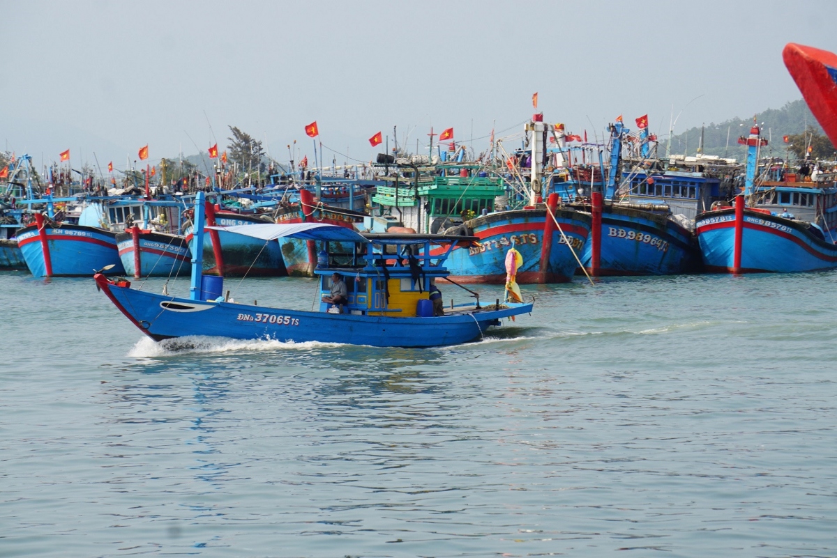 fishermen in southcentral region enjoy bumper hauls on the first trip after tet picture 2