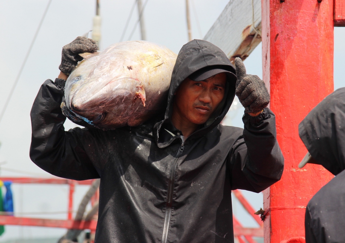 fishermen in southcentral region enjoy bumper hauls on the first trip after tet picture 7
