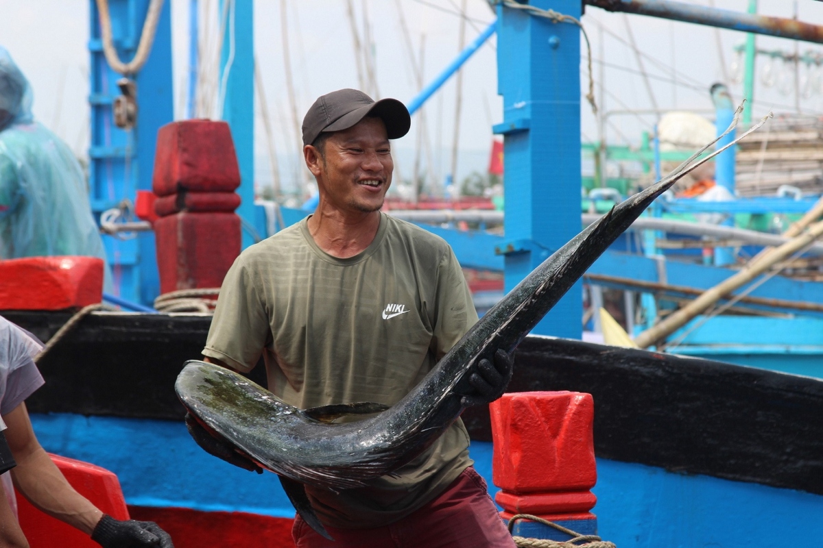 fishermen in southcentral region enjoy bumper hauls on the first trip after tet picture 8