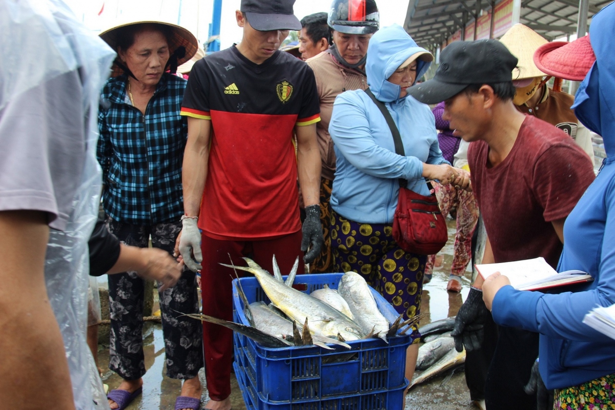 fishermen in southcentral region enjoy bumper hauls on the first trip after tet picture 9