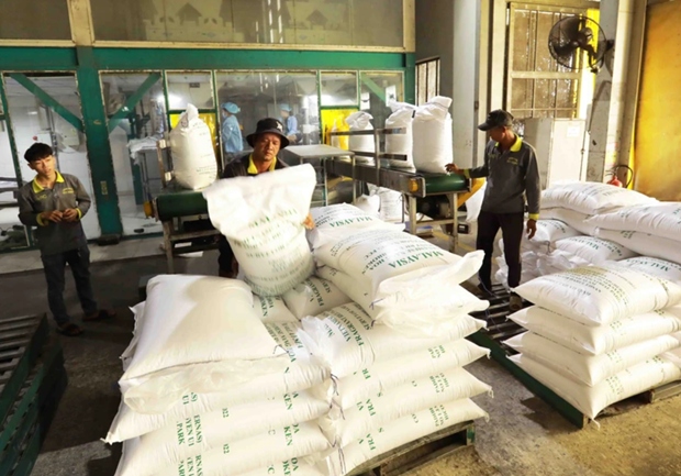 businesses urged to seize opportunities to boost rice exports to indonesia picture 1