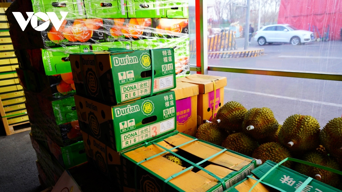 fruit exports rake in over us 500 million in january picture 1