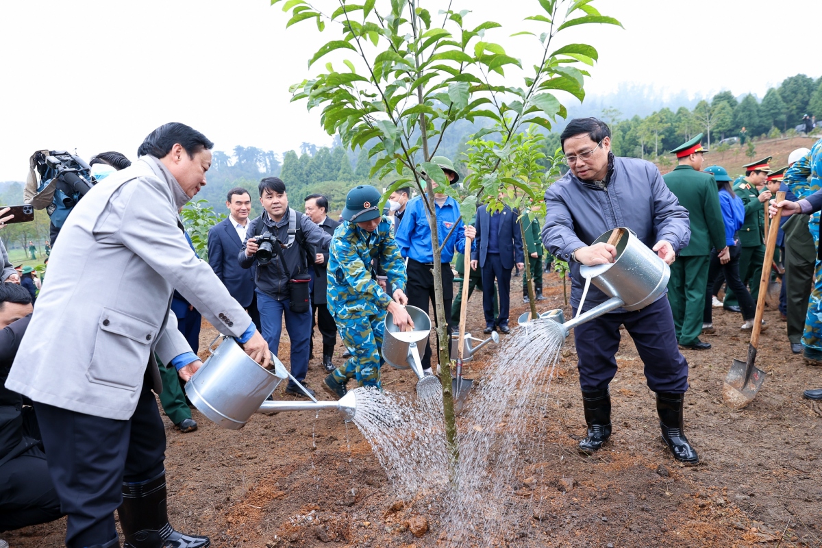 thu tuong yeu cau to chuc tet trong cay doi doi nho on bac ho thiet thuc, hieu qua hinh anh 1