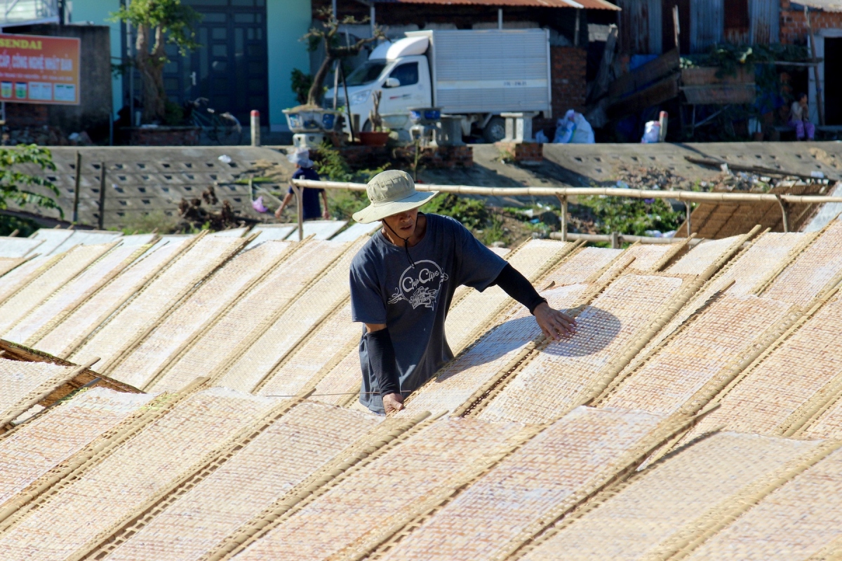 vermicelli village in binh dinh busy ahead of lunar new year picture 13