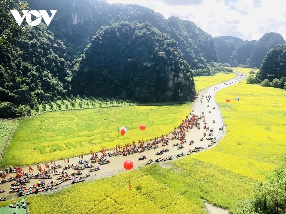 a close-up of most instagrammable places in vietnam picture 5