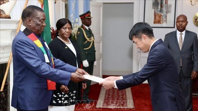 Vietnamese Ambassador presents letter of credence to Zimbabwean President