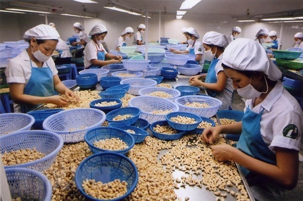 vietnam to join conference on global agricultural supply chain connection picture 1