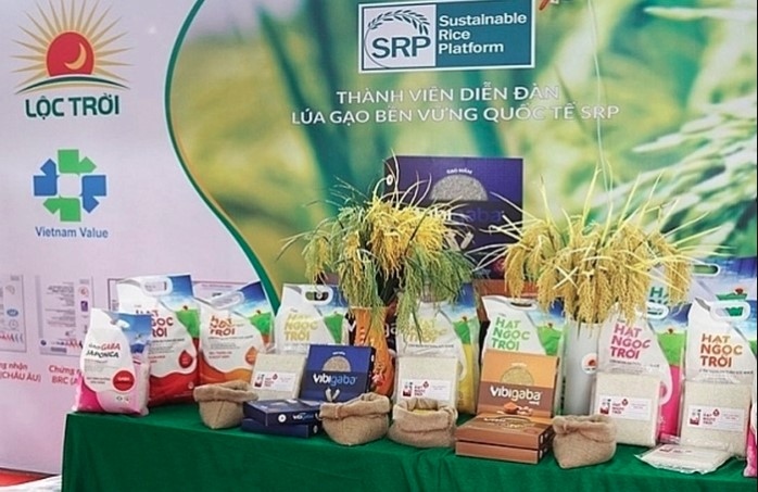 an giang rice targets us 325 million export turnover in 2024 picture 1