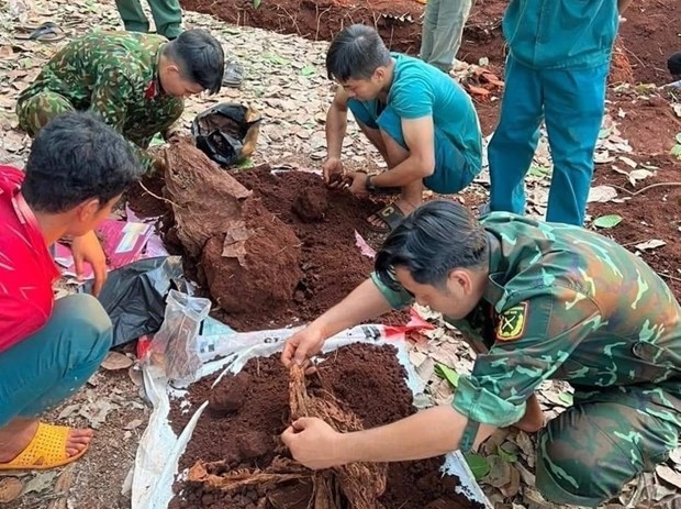 search for remains of vietnamese soldiers in cambodia launched picture 1
