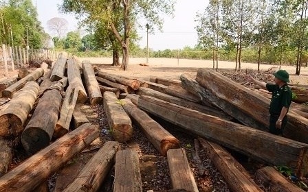 us justice department provides anti-timber trafficking training in vietnam picture 1