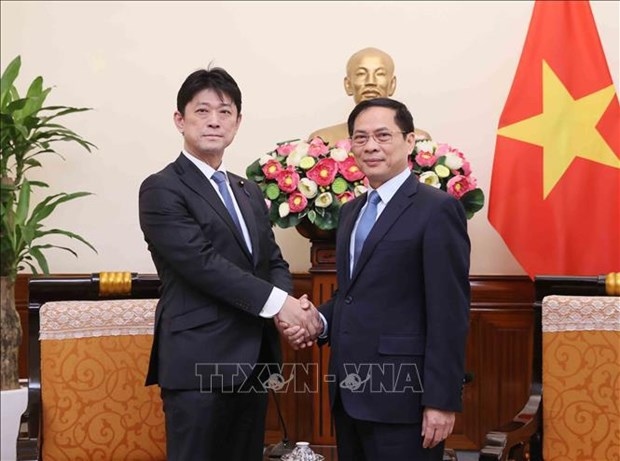 foreign minister lauds progress of vietnam - japan cooperation picture 1