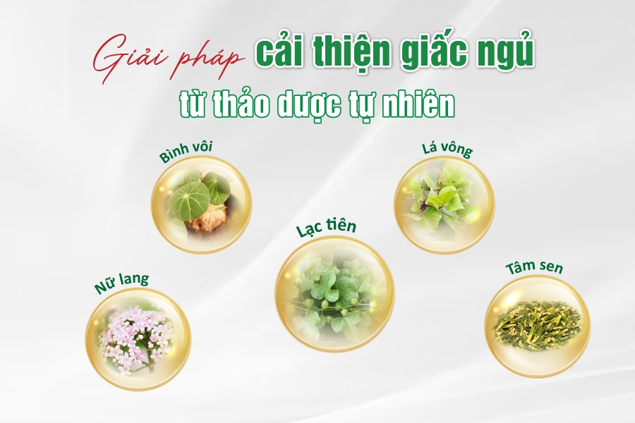 Giải pháp cải thiện giấc ngủ từ thảo dược tự nhiên