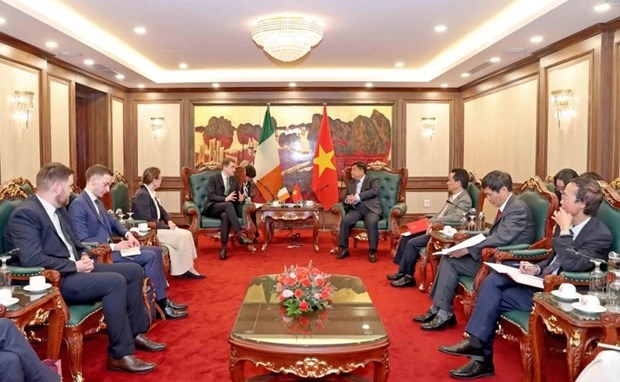 vietnam seek broader trade and investment co-operation with ireland picture 1