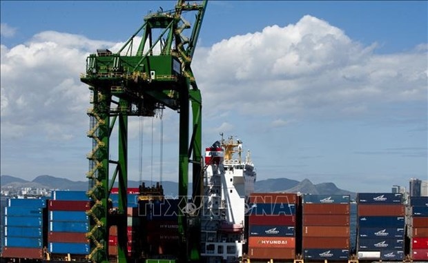brazil increases imports from vietnam picture 1