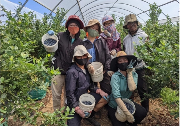 australia opens door to vietnamese agricultural workers picture 1 australia opens door to vietnamese agricultural workers picture 1