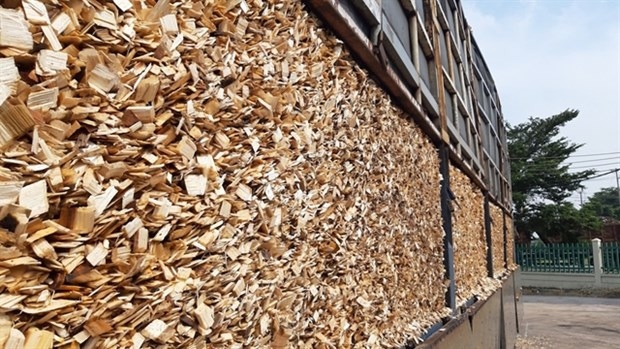 china becomes vietnam s largest wood chip export market picture 1