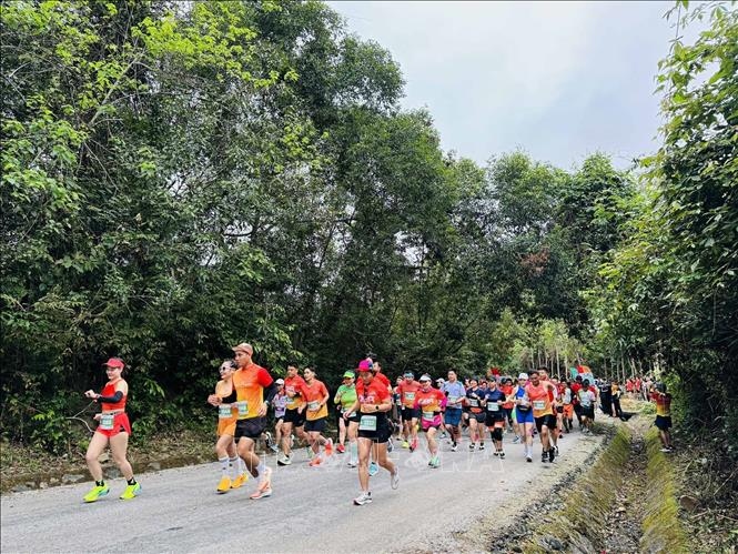 nearly 2,400 local, foreign runners join quang binh discovery marathon picture 1