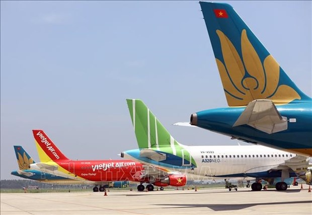 domestic airlines fleets likely to shrink in two years caav picture 1