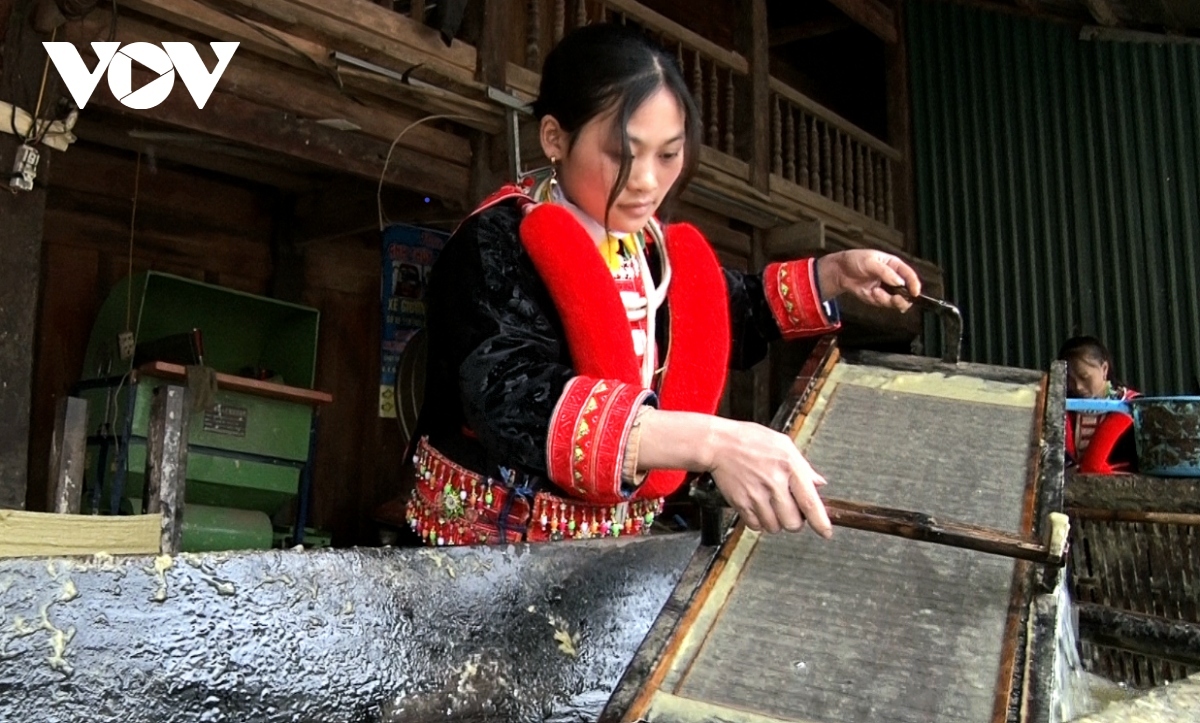 exploring paper-making craft of dao ethnic people in cao bang picture 3
