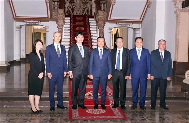 hcm city leader welcomes japanese vice foreign minister picture 1