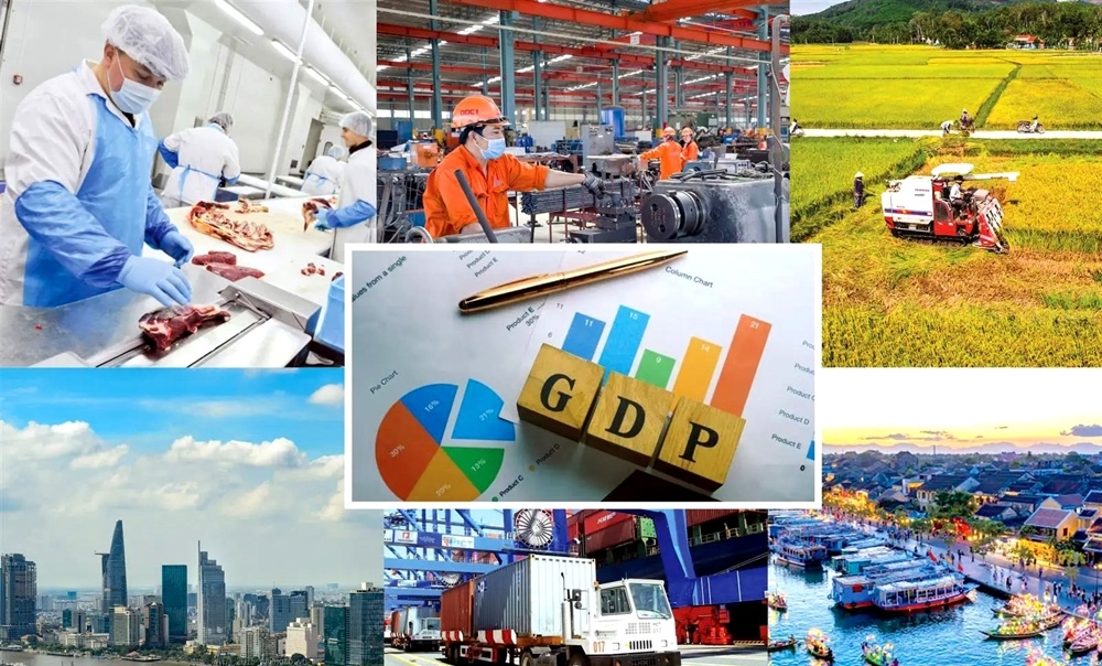 argentine media hails smes contributions to vietnamese economy picture 1