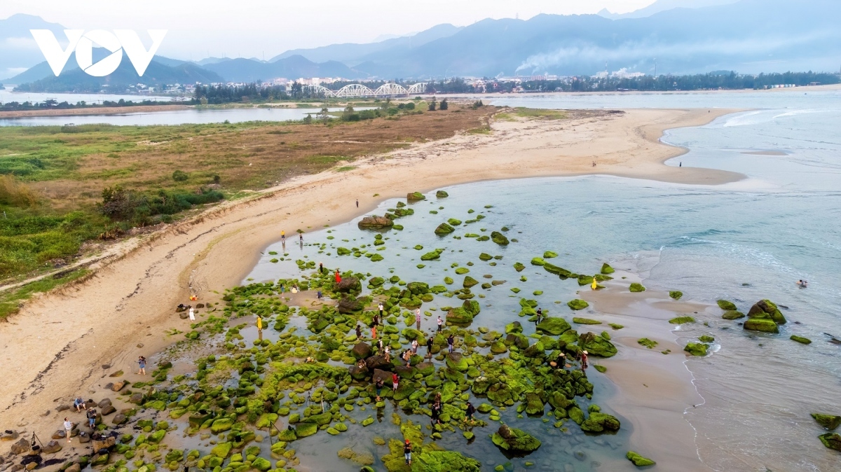 discovering pristine beauty of nam o coral reef in da nang picture 2