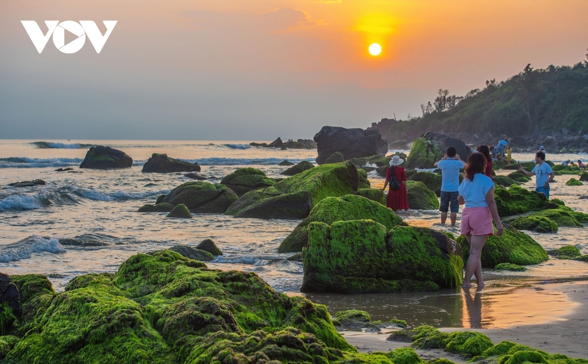 discovering pristine beauty of nam o coral reef in da nang picture 5