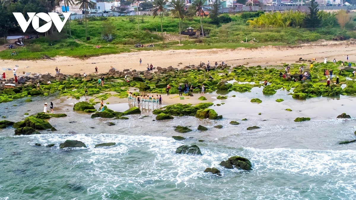 discovering pristine beauty of nam o coral reef in da nang picture 7