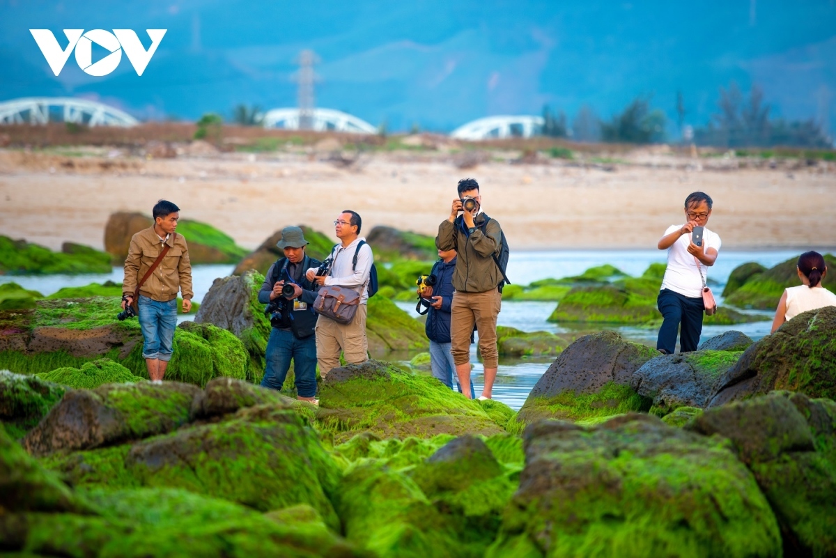 discovering pristine beauty of nam o coral reef in da nang picture 9