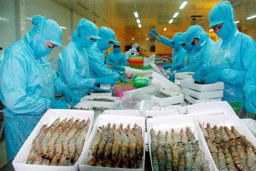 shrimp emerges as major aquatic export product to australia picture 1
