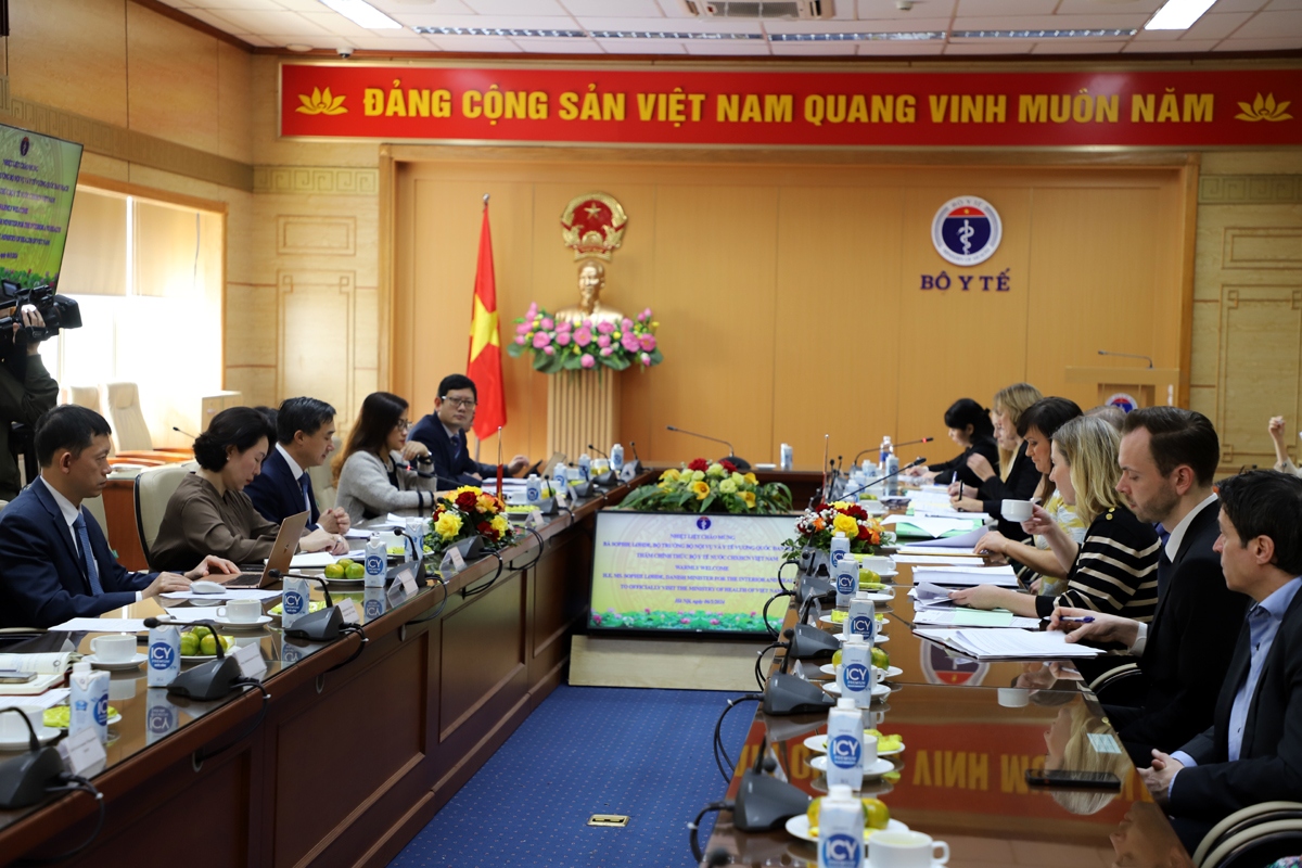 vietnam and denmark promote healthcare cooperation picture 1