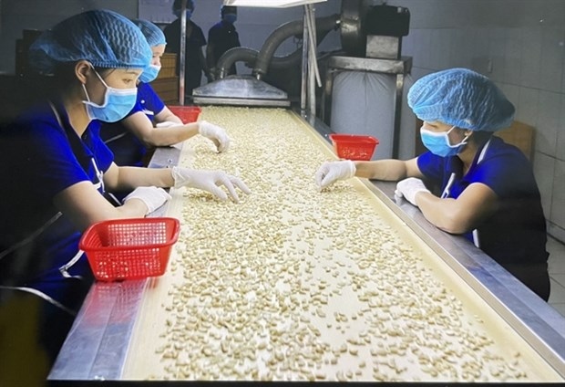 Vietnamese economy forecast to expand at 5.5 % in Q1