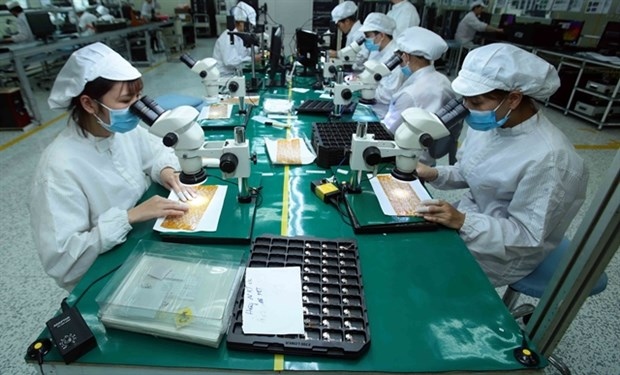 vietnamese exports to us steadily recover picture 1