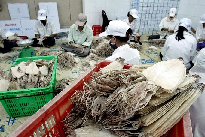 squid and octopus exports decline slightly by 2 in q1 picture 1