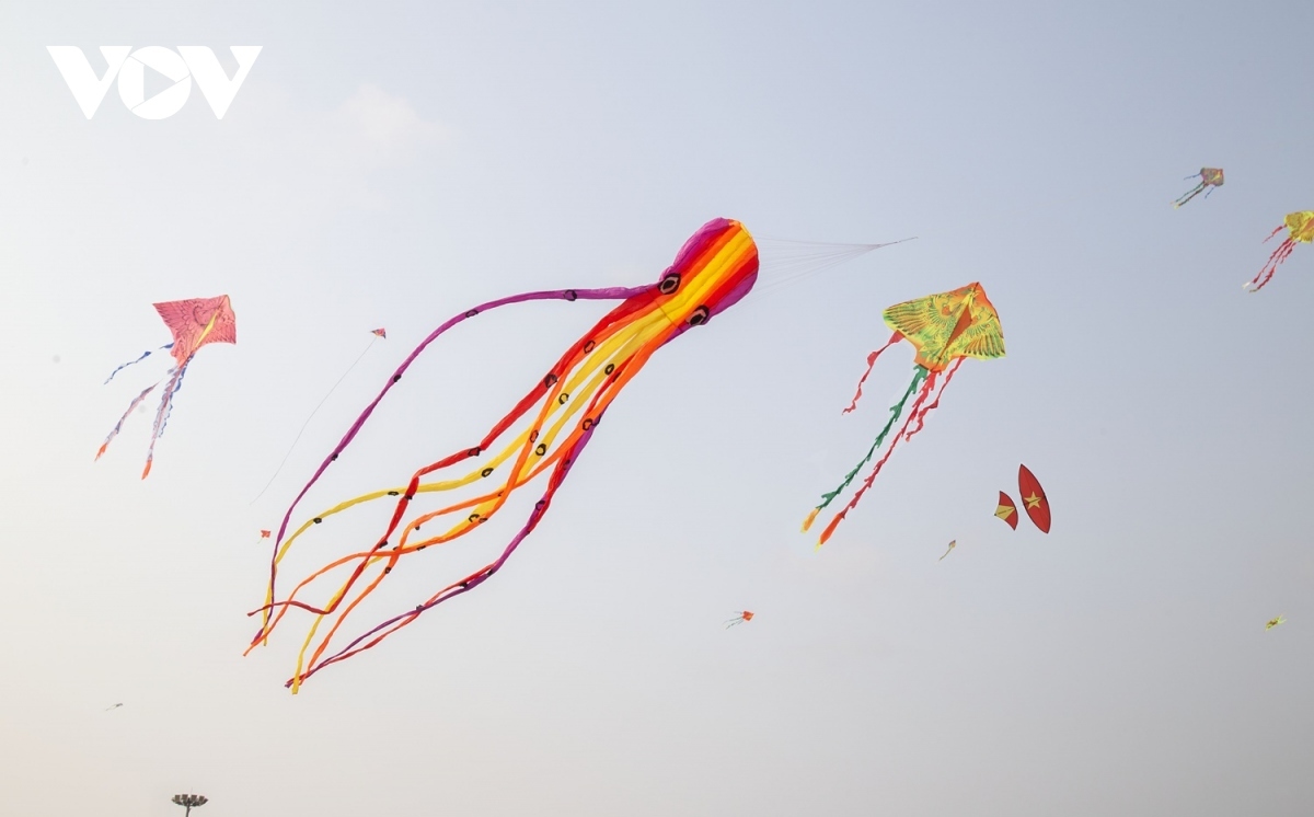 kite flying festival launched in ha long city picture 5
