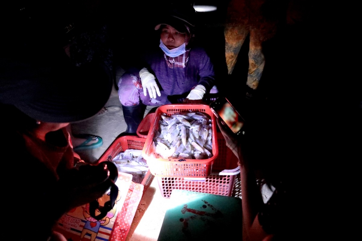 Doc la ben den pin buon ban hai san som tinh mo hinh anh 6