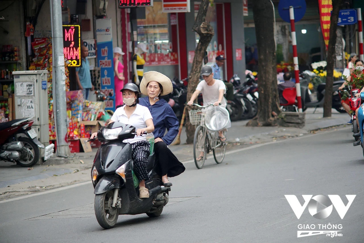  cay lon tuoi khong chiu doi mu bao hiem hinh anh 3