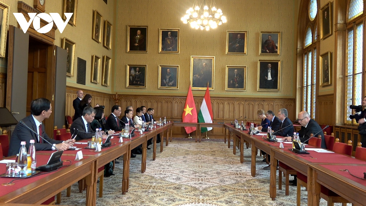 vietnam affirms close comprehensive partnership with hungary picture 1
