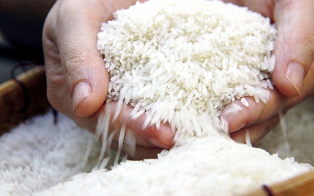 nine vietnamese rice varieties exempt from tariffs in eu market picture 1