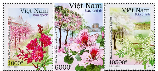 new stamp set features 12 flower seasons of hanoi picture 1