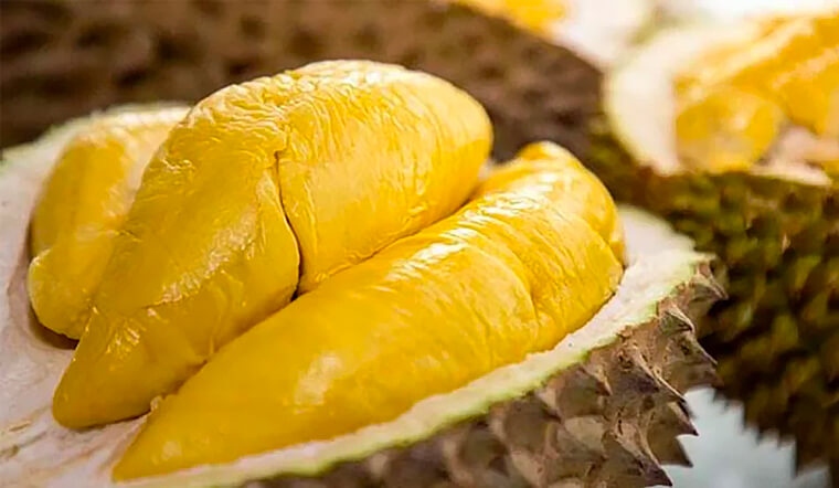 vietnam outperforms thailand to emerge as largest durian supplier for china picture 1